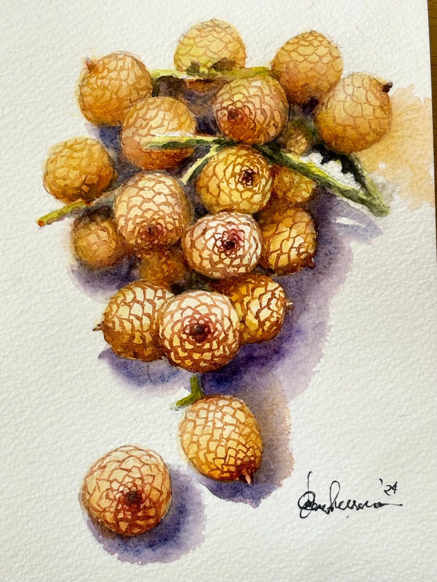 Fruits